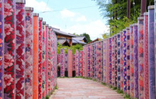 Tasty Tours Japan21