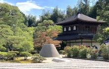 Tasty Tours Japan23