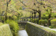Tasty Tours Japan14