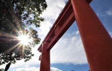 Tasty Tours Japan18