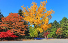 Tasty Tours Japan19
