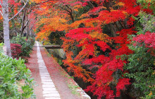 Tasty Tours Japan30