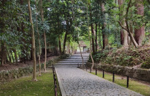 Tasty Tours Japan31
