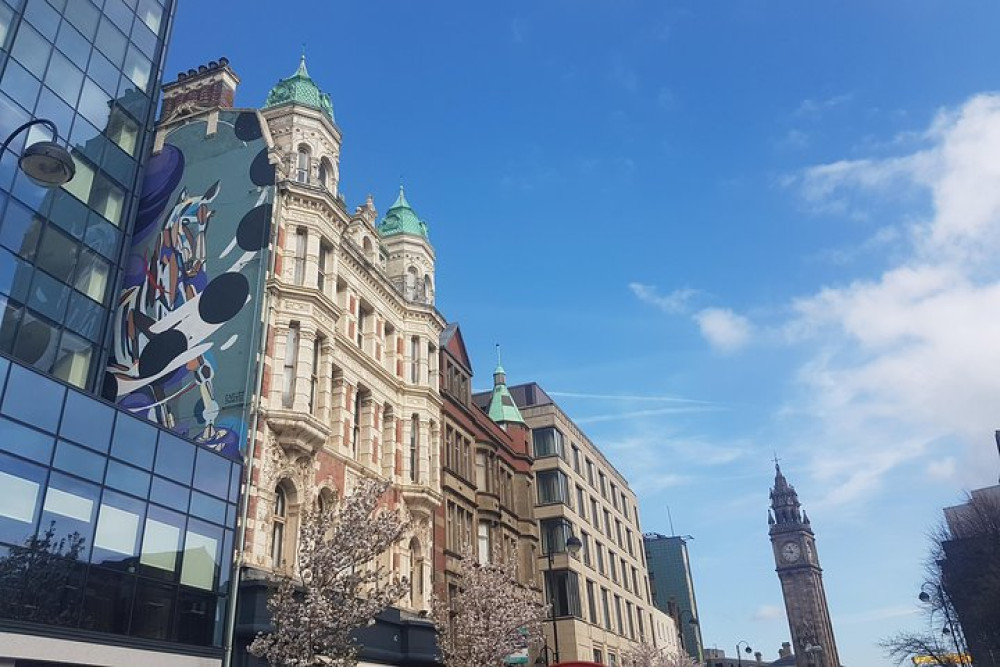 Small Group Belfast Walking Tour With Street Art & History