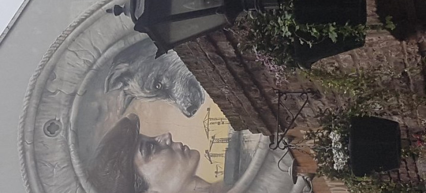 Small Group Belfast Music, Pubs & Street Art Walking Tour