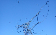 Belfastology Walking Tours2