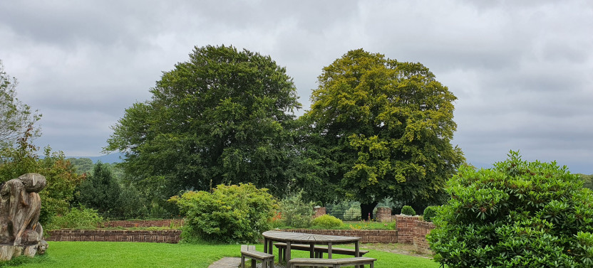 Belfast Walking Tour With Local Gardener, Ulster Museum & Botanic Gardens