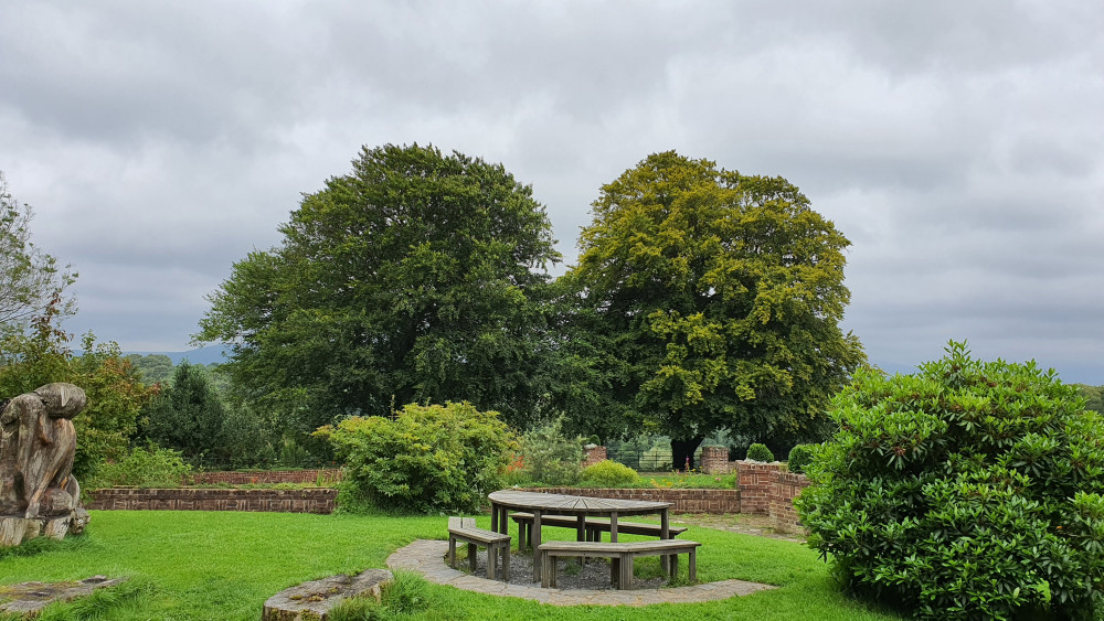 Belfast Walking Tour With Local Gardener, Ulster Museum & Botanic Gardens