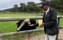 Batende Safari & Tours 5