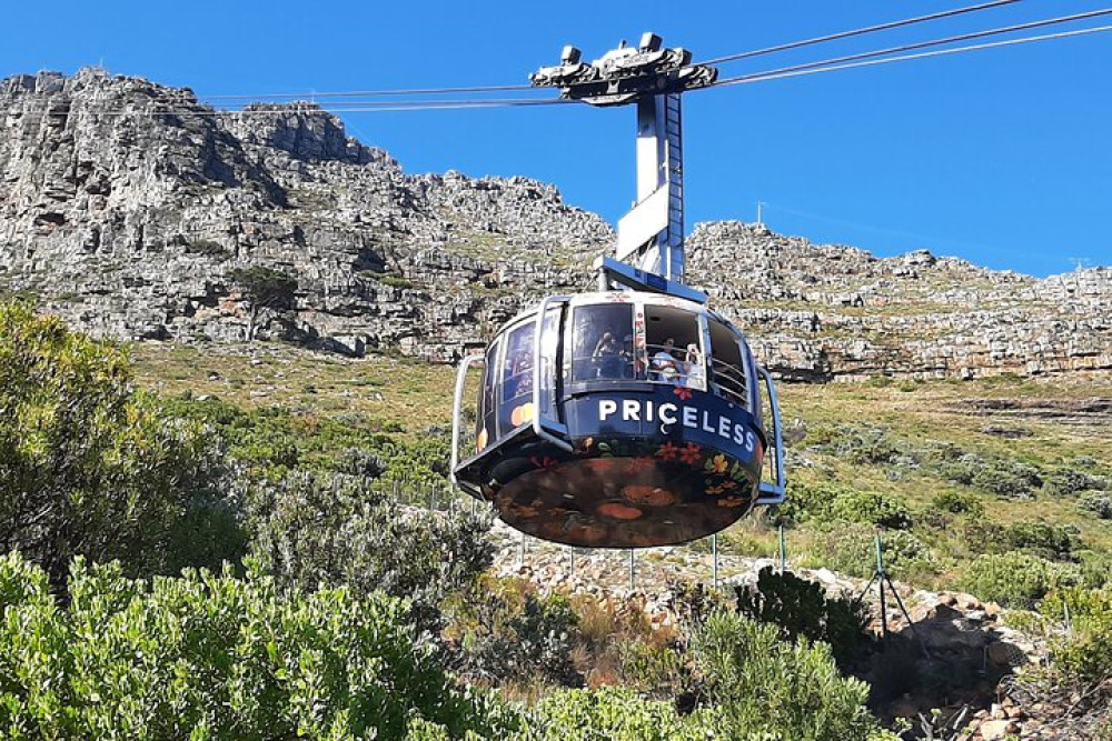 Private Table Mountain, Penguin and Cape of Good Hope with Fees Included