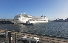 Batende Safari & Tours 29