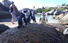 Batende Safari & Tours12
