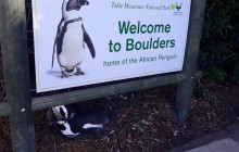 Batende Safari & Tours7