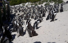 Batende Safari & Tours8