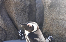 Batende Safari & Tours15