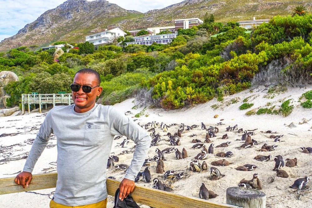 Cape of Good Hope and Penguins - Small Group - Full Day
