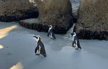 Batende Safari & Tours18