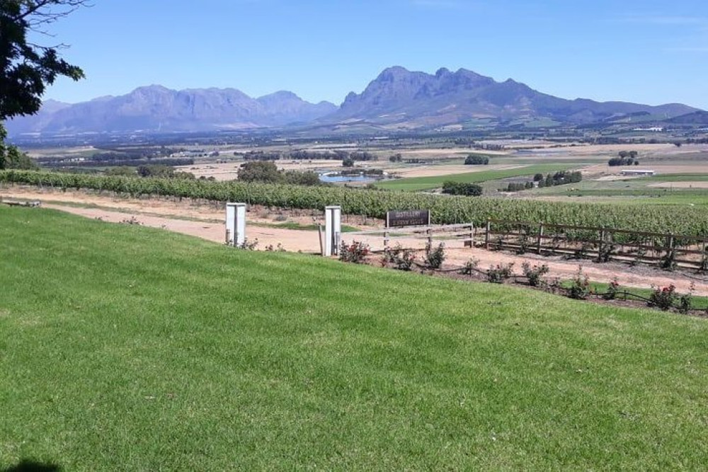 Wine Tasting in Stellenbosch, Franschhoek & Paarl with Fees Included