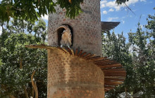 Batende Safari & Tours 19