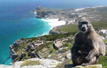 Batende Safari & Tours 2