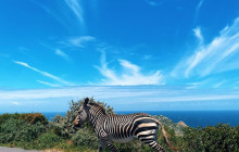 Batende Safari & Tours 8