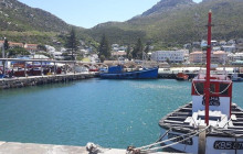 Batende Safari & Tours 4
