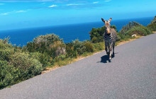 Batende Safari & Tours 13