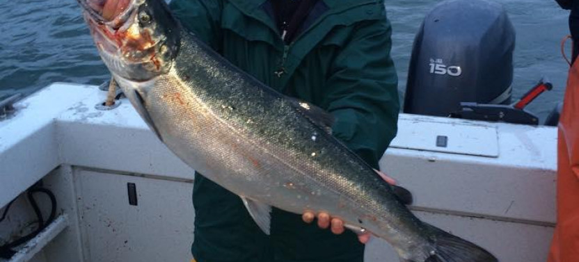 Salmon Fishing in Juneau Waters