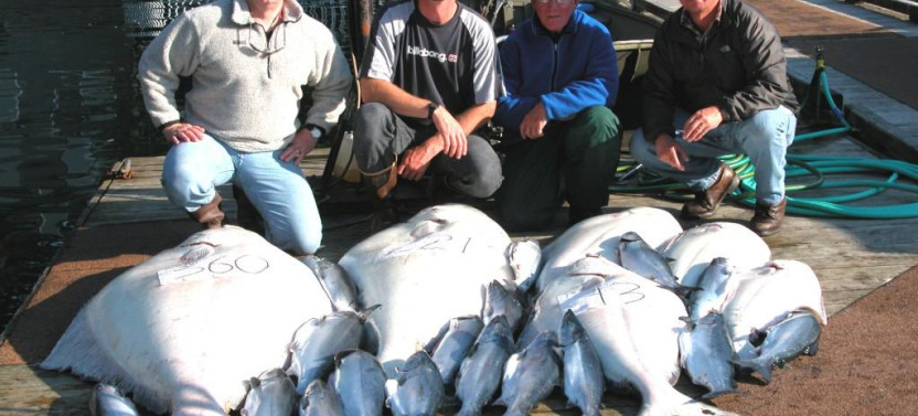 Halibut Fishing in Juneau