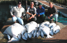 Juneau Charters, LLC1