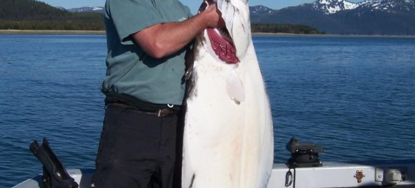 Salmon and Halibut Combo Fishing in Juneau