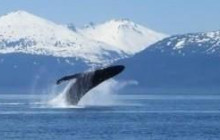 Juneau Charters, LLC2