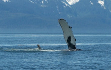 Juneau Charters, LLC3