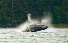 Juneau Charters, LLC5