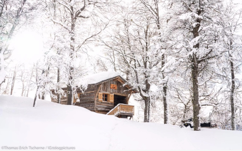 Snowmobiles and Tracked Can-Am Experience in Lanín National Park