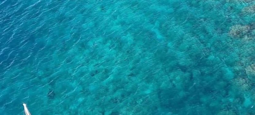Major Tom Full Day Sailing With Snorkeling, Lunch & Beach Stop