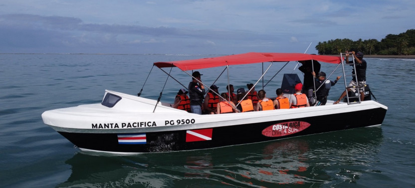 Whale Watching Tour