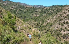 Marbella Adventures10