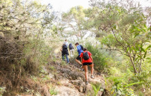 Marbella Adventures14