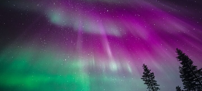 Rovaniemi: Aurora Activity Guarantee Tour