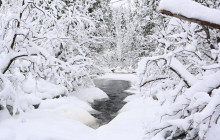 Book Lapland12