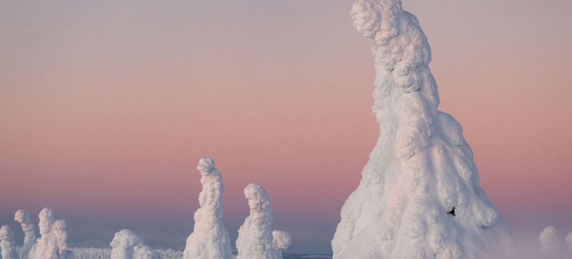 Riisitunturi Snow Monsters Winter Hike from Rovaniemi