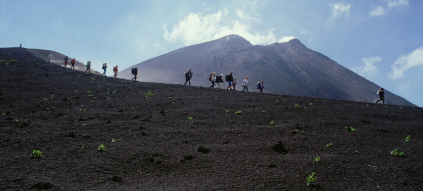 Pacaya Volcano Tour with Entrance Fee and Transfers from Guatemala City