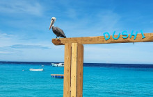 Dushi Views12
