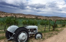 The Grape Run Private Sedona Wine Tour from Phoenix