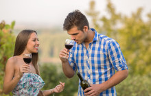 Taste The Experience3