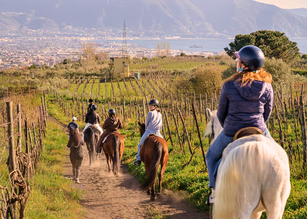 Small Group: Pompeii, Horses, and Wine Tour