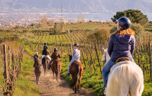 Taste The Experience1