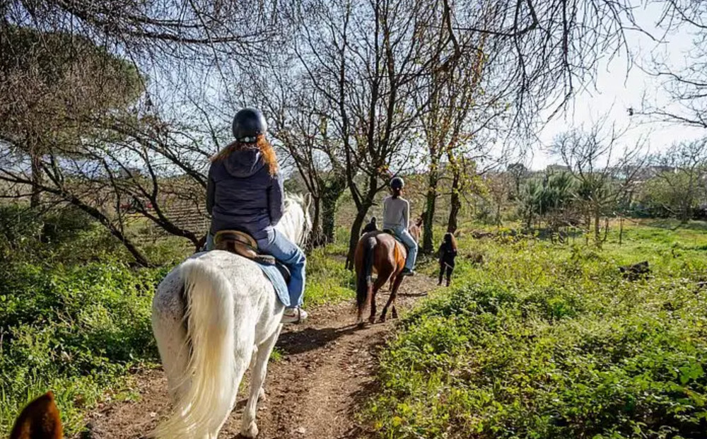 Small Group Horseback Riding on Vesuvius Tour