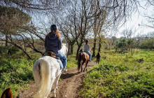 Taste The Experience5